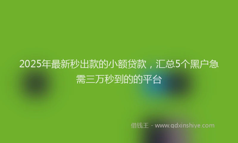 2025年最新秒出款的小额贷款，汇总5个黑户急需三万秒到的的平台