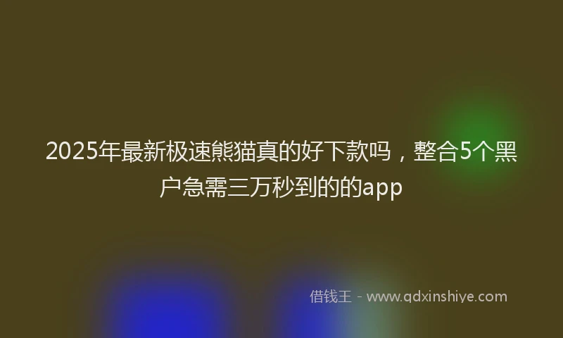 2025年最新极速熊猫真的好下款吗，整合5个黑户急需三万秒到的的app