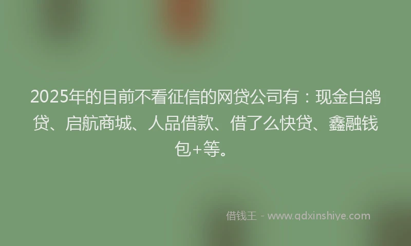 2025年的目前不看征信的网贷公司有：现金白鸽贷、启航商城、人品借款、借了么快贷、鑫融钱包+等。