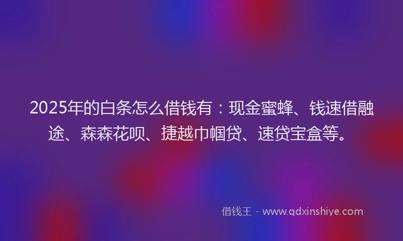 2025年的白条怎么借钱有：现金蜜蜂、钱速借融途、森森花呗、捷越巾帼贷、速贷宝盒等。