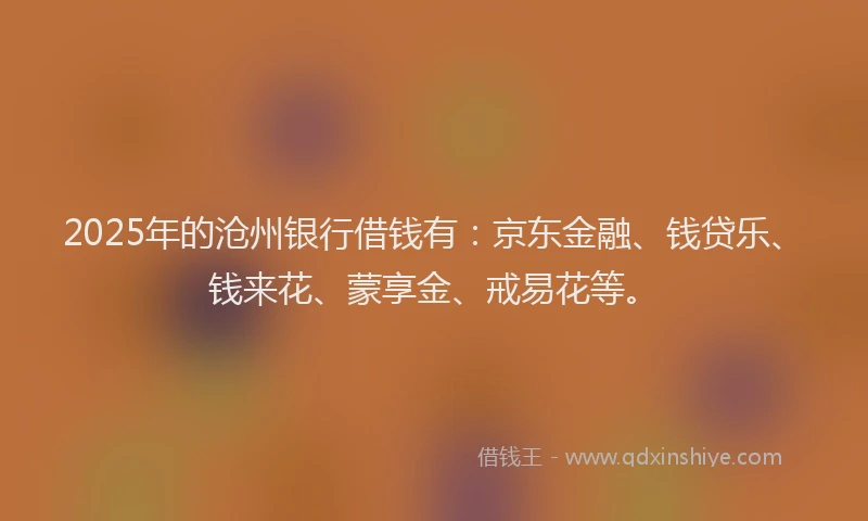 2025年的沧州银行借钱有：京东金融、钱贷乐、钱来花、蒙享金、戒易花等。