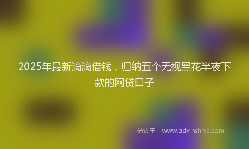 2025年最新滴滴借钱，归纳五个无视黑花半夜下款的网贷口子