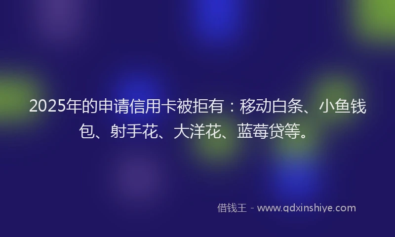 2025年的申请信用卡被拒有：移动白条、小鱼钱包、射手花、大洋花、蓝莓贷等。