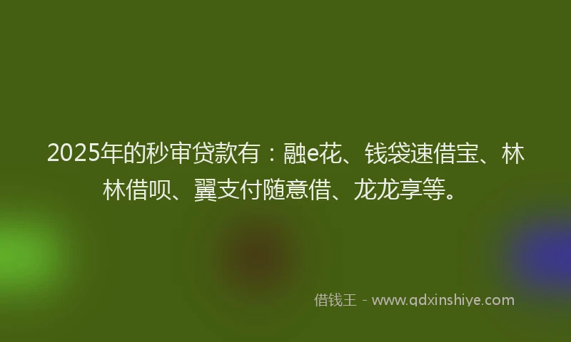 2025年的秒审贷款有：融e花、钱袋速借宝、林林借呗、翼支付随意借、龙龙享等。