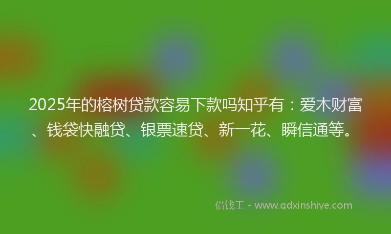 2025年的榕树贷款容易下款吗知乎有：爱木财富、钱袋快融贷、银票速贷、新一花、瞬信通等。