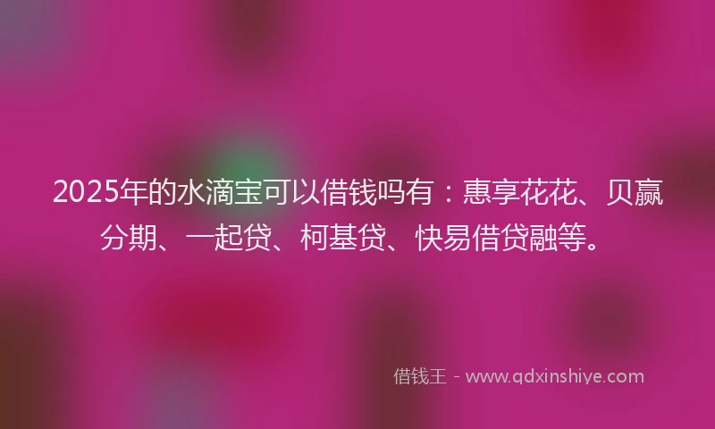 2025年的水滴宝可以借钱吗有：惠享花花、贝赢分期、一起贷、柯基贷、快易借贷融等。