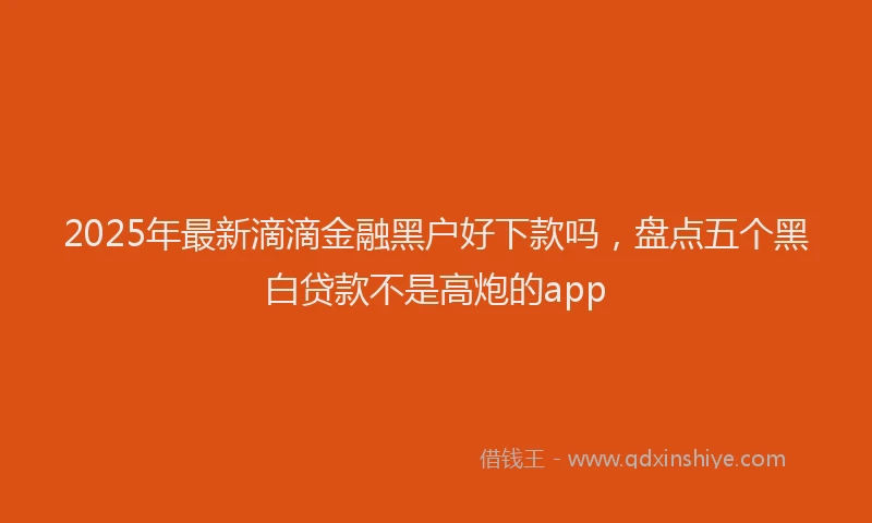 2025年最新滴滴金融黑户好下款吗，盘点五个黑白贷款不是高炮的app