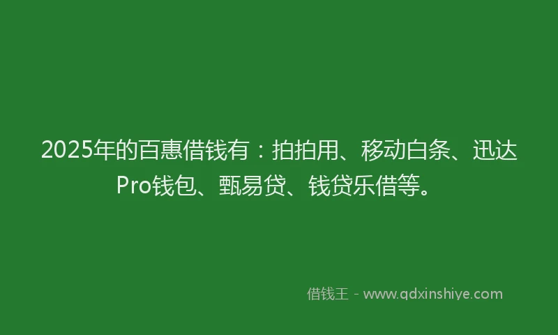 2025年的百惠借钱有：拍拍用、移动白条、迅达Pro钱包、甄易贷、钱贷乐借等。