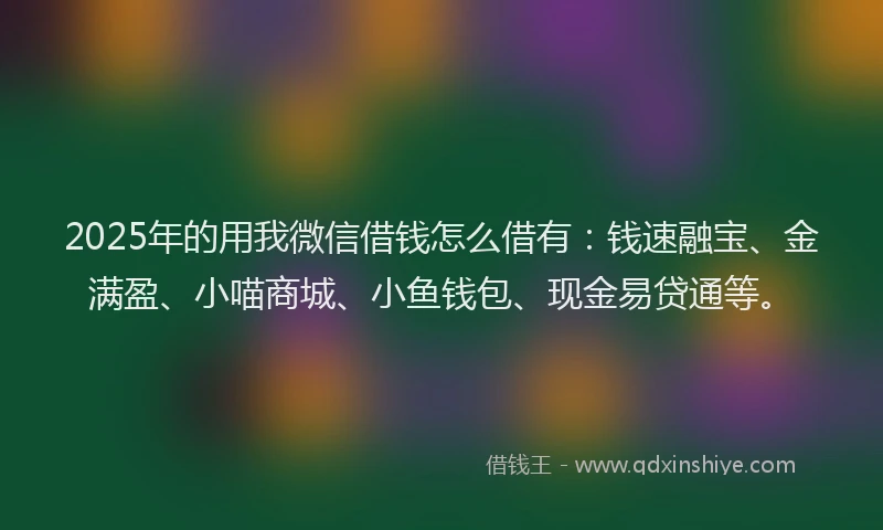 2025年的用我微信借钱怎么借有：钱速融宝、金满盈、小喵商城、小鱼钱包、现金易贷通等。