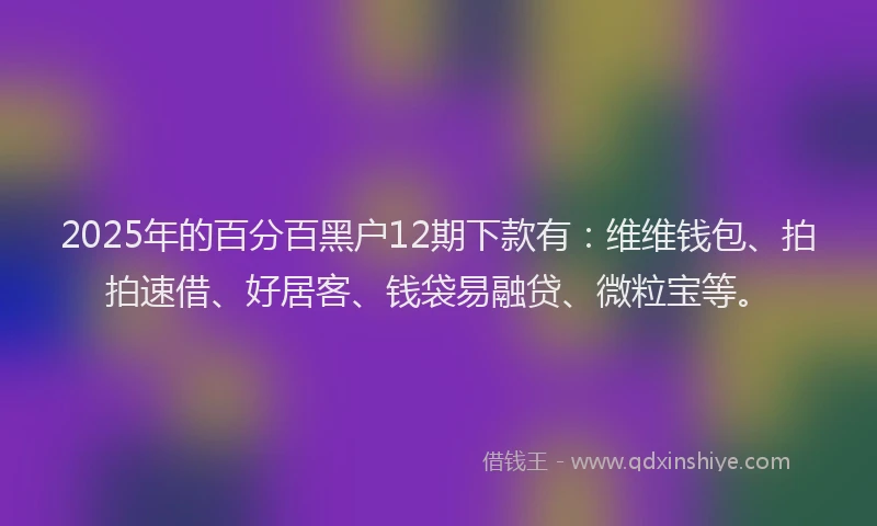 2025年的百分百黑户12期下款有：维维钱包、拍拍速借、好居客、钱袋易融贷、微粒宝等。