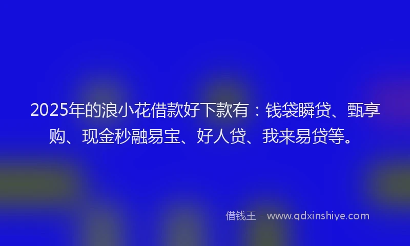 2025年的浪小花借款好下款有：钱袋瞬贷、甄享购、现金秒融易宝、好人贷、我来易贷等。