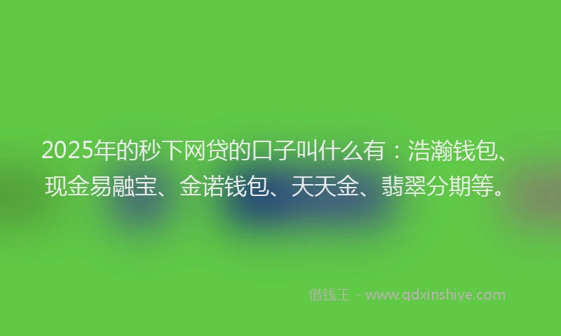 2025年的秒下网贷的口子叫什么有：浩瀚钱包、现金易融宝、金诺钱包、天天金、翡翠分期等。