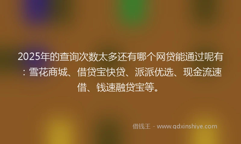 2025年的查询次数太多还有哪个网贷能通过呢有：雪花商城、借贷宝快贷、派派优选、现金流速借、钱速融贷宝等。