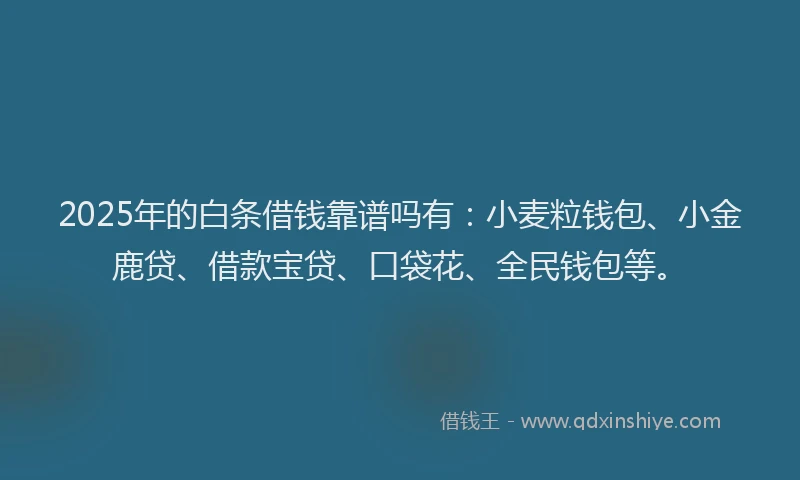 2025年的白条借钱靠谱吗有：小麦粒钱包、小金鹿贷、借款宝贷、口袋花、全民钱包等。