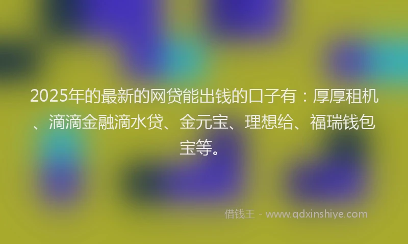 2025年的最新的网贷能出钱的口子有：厚厚租机、滴滴金融滴水贷、金元宝、理想给、福瑞钱包宝等。