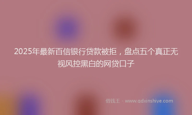 2025年最新百信银行贷款被拒，盘点五个真正无视风控黑白的网贷口子