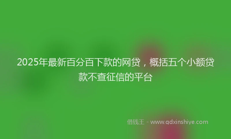 2025年最新百分百下款的网贷，概括五个小额贷款不查征信的平台