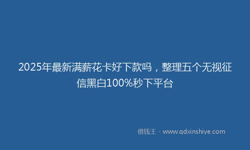 2025年最新满薪花卡好下款吗，整理五个无视征信黑白100%秒下平台