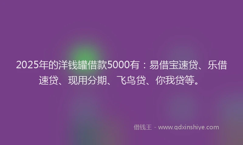 2025年的洋钱罐借款5000有：易借宝速贷、乐借速贷、现用分期、飞鸟贷、你我贷等。
