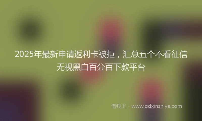 2025年最新申请返利卡被拒，汇总五个不看征信无视黑白百分百下款平台