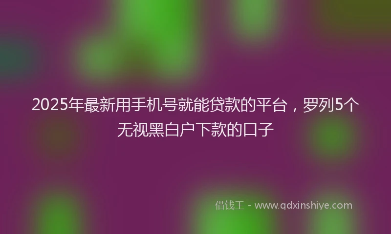 2025年最新用手机号就能贷款的平台，罗列5个无视黑白户下款的口子