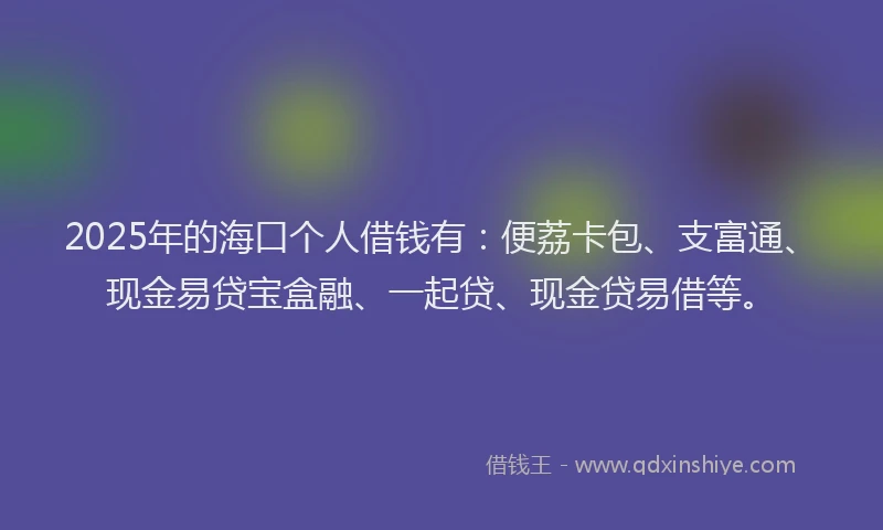 2025年的海口个人借钱有：便荔卡包、支富通、现金易贷宝盒融、一起贷、现金贷易借等。