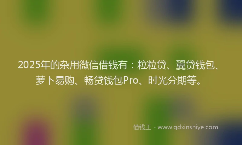 2025年的杂用微信借钱有：粒粒贷、翼贷钱包、萝卜易购、畅贷钱包Pro、时光分期等。