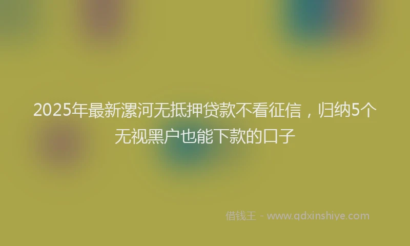 2025年最新漯河无抵押贷款不看征信，归纳5个无视黑户也能下款的口子