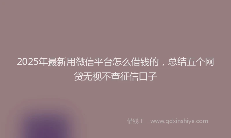 2025年最新用微信平台怎么借钱的，总结五个网贷无视不查征信口子
