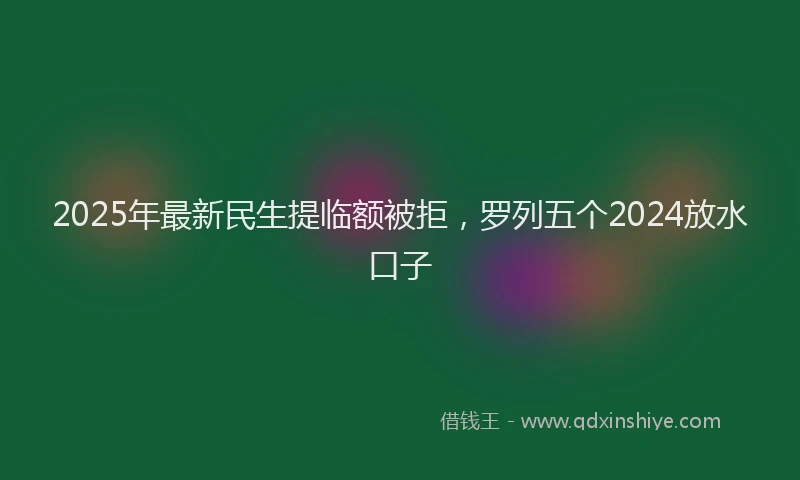 2025年最新民生提临额被拒，罗列五个2024放水口子