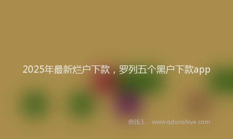 2025年最新烂户下款，罗列五个黑户下款app