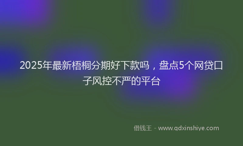 2025年最新梧桐分期好下款吗，盘点5个网贷口子风控不严的平台