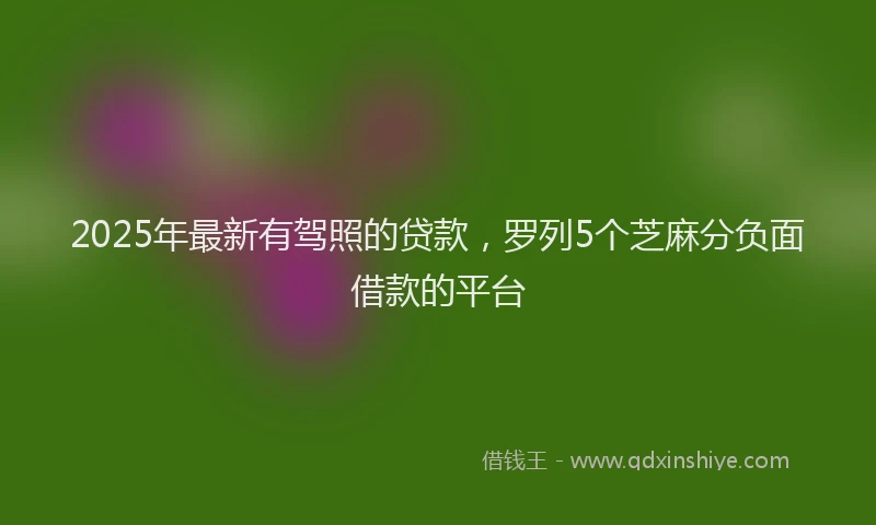 2025年最新有驾照的贷款，罗列5个芝麻分负面借款的平台