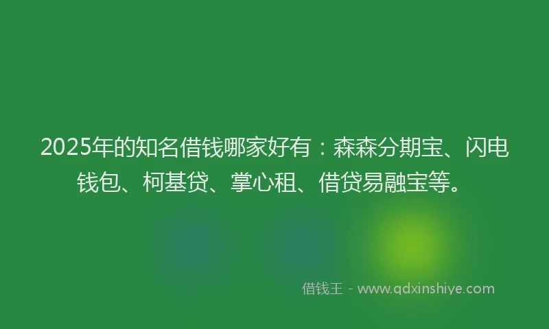2025年的知名借钱哪家好有：森森分期宝、闪电钱包、柯基贷、掌心租、借贷易融宝等。