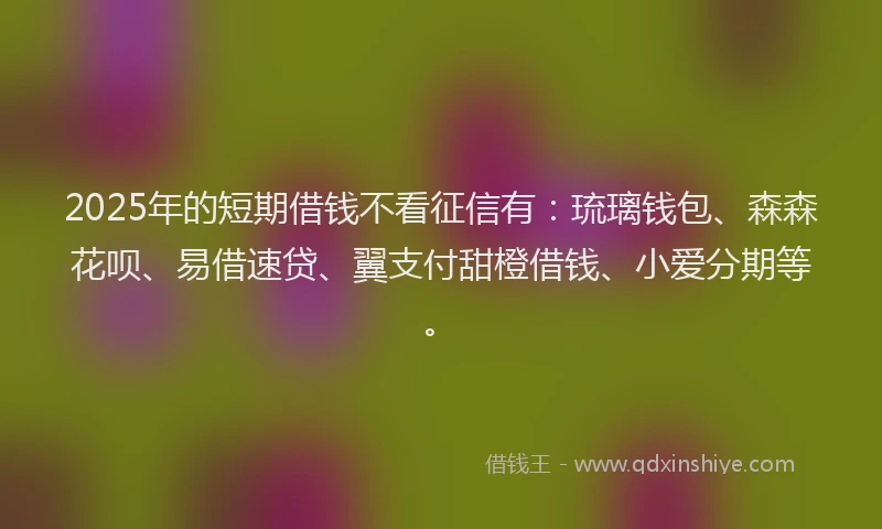 2025年的短期借钱不看征信有：琉璃钱包、森森花呗、易借速贷、翼支付甜橙借钱、小爱分期等。