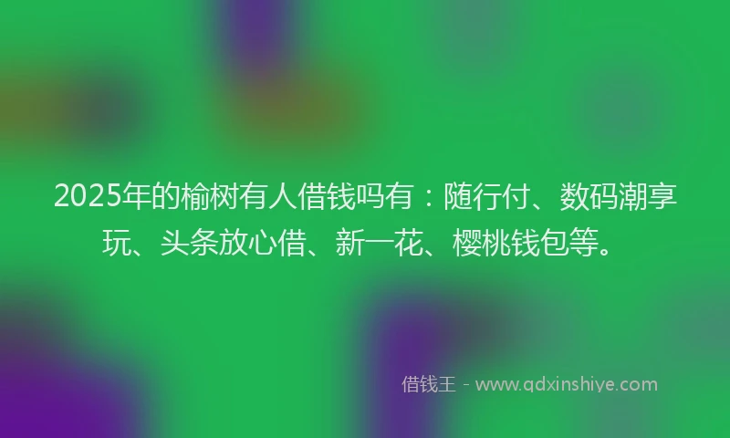 2025年的榆树有人借钱吗有：随行付、数码潮享玩、头条放心借、新一花、樱桃钱包等。