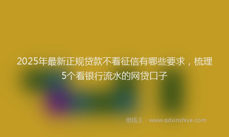 2025年最新正规贷款不看征信有哪些要求，梳理5个看银行流水的网贷口子