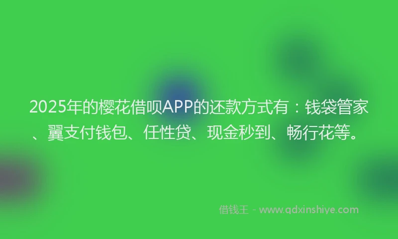 2025年的樱花借呗APP的还款方式有：钱袋管家、翼支付钱包、任性贷、现金秒到、畅行花等。