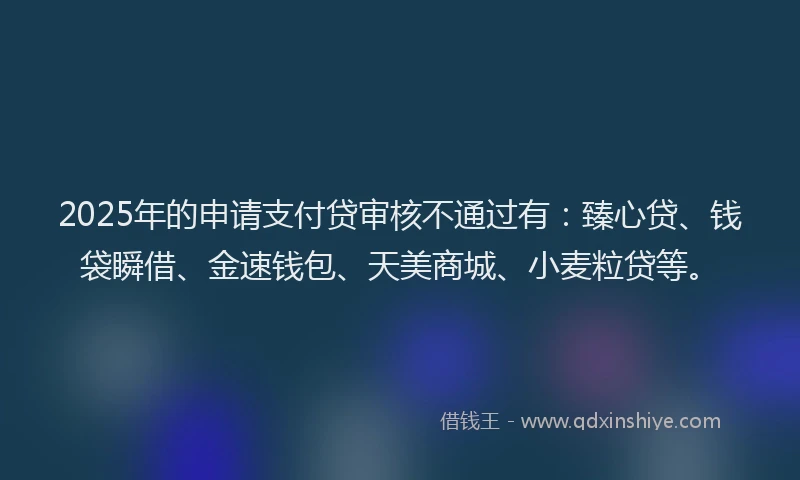 2025年的申请支付贷审核不通过有：臻心贷、钱袋瞬借、金速钱包、天美商城、小麦粒贷等。