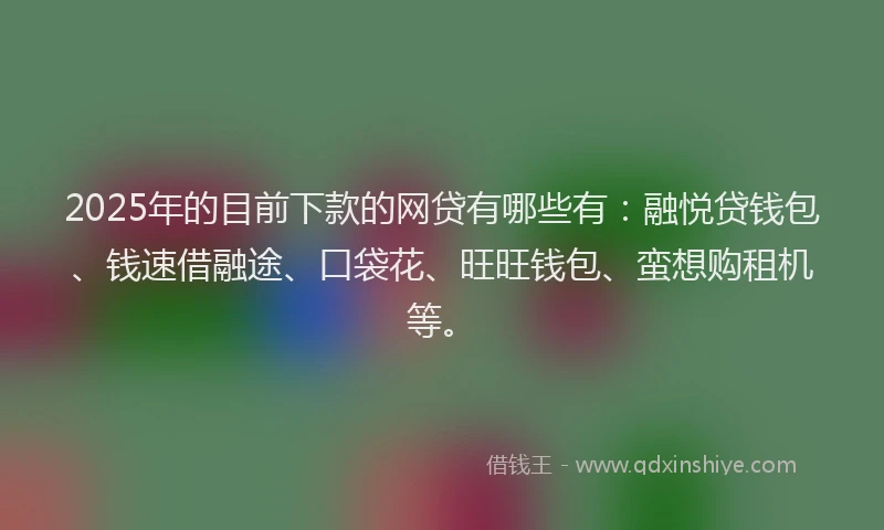 2025年的目前下款的网贷有哪些有：融悦贷钱包、钱速借融途、口袋花、旺旺钱包、蛮想购租机等。