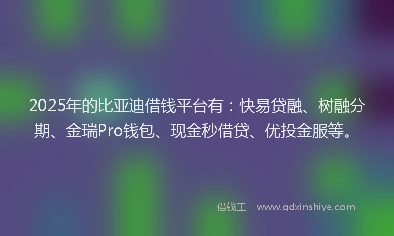 2025年的比亚迪借钱平台有：快易贷融、树融分期、金瑞Pro钱包、现金秒借贷、优投金服等。