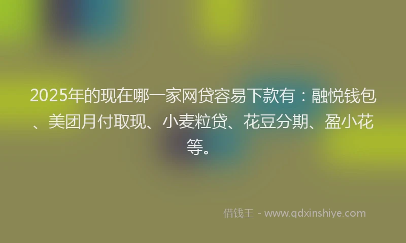 2025年的现在哪一家网贷容易下款有：融悦钱包、美团月付取现、小麦粒贷、花豆分期、盈小花等。
