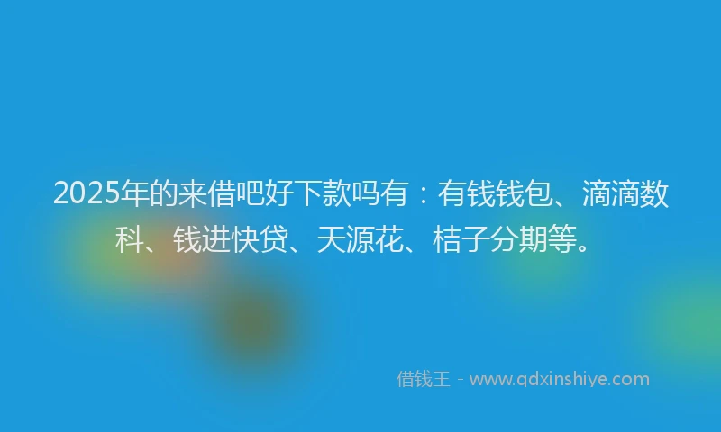 2025年的来借吧好下款吗有：有钱钱包、滴滴数科、钱进快贷、天源花、桔子分期等。