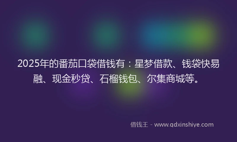 2025年的番茄口袋借钱有：星梦借款、钱袋快易融、现金秒贷、石榴钱包、尔集商城等。