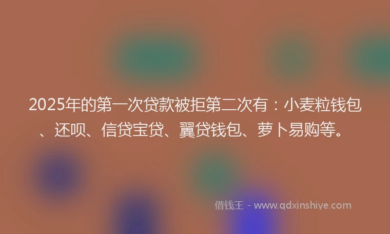 2025年的第一次贷款被拒第二次有：小麦粒钱包、还呗、信贷宝贷、翼贷钱包、萝卜易购等。
