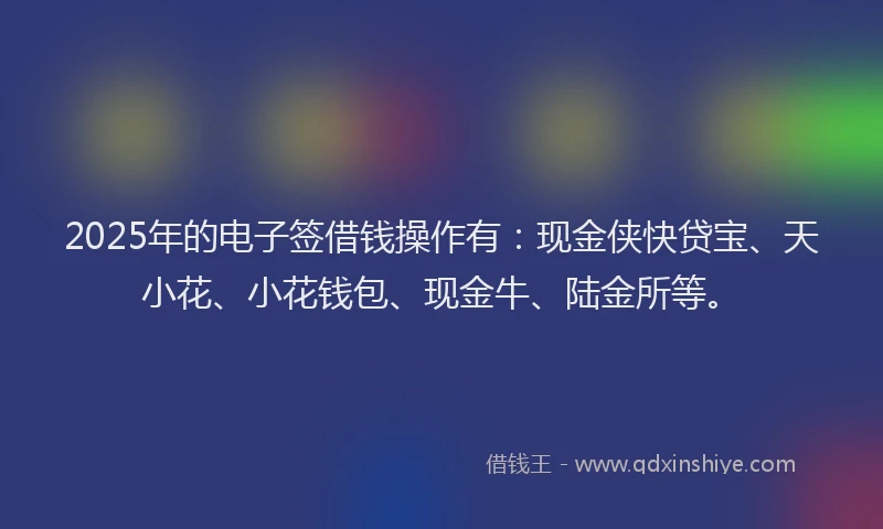 2025年的电子签借钱操作有：现金侠快贷宝、天小花、小花钱包、现金牛、陆金所等。