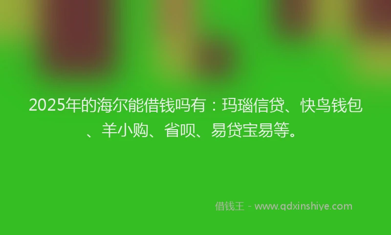 2025年的海尔能借钱吗有：玛瑙信贷、快鸟钱包、羊小购、省呗、易贷宝易等。