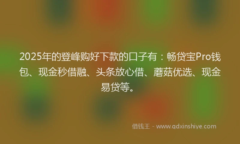 2025年的登峰购好下款的口子有：畅贷宝Pro钱包、现金秒借融、头条放心借、蘑菇优选、现金易贷等。