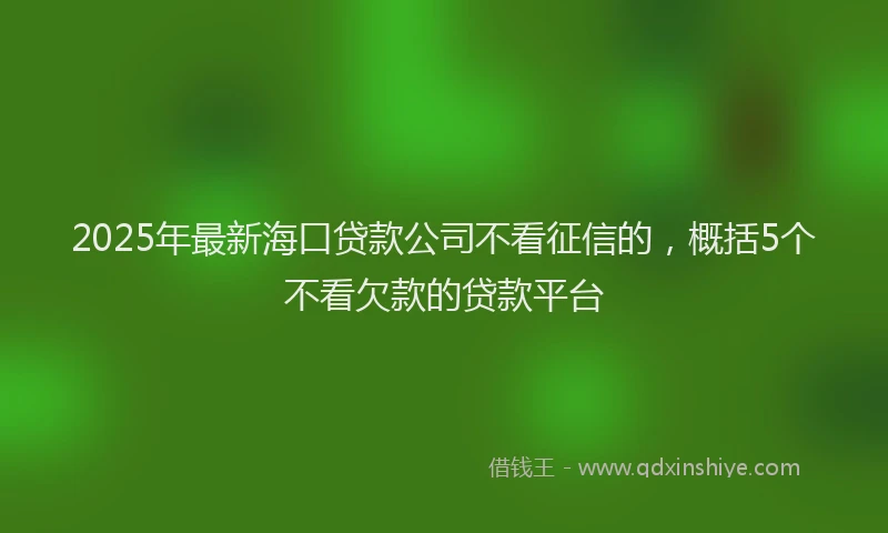 2025年最新海口贷款公司不看征信的,概括5个不看欠款的贷款平台