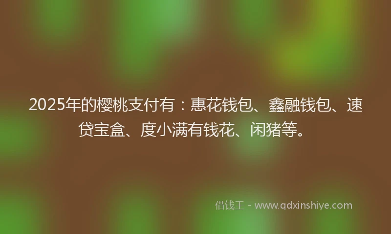 2025年的樱桃支付有：惠花钱包、鑫融钱包、速贷宝盒、度小满有钱花、闲猪等。